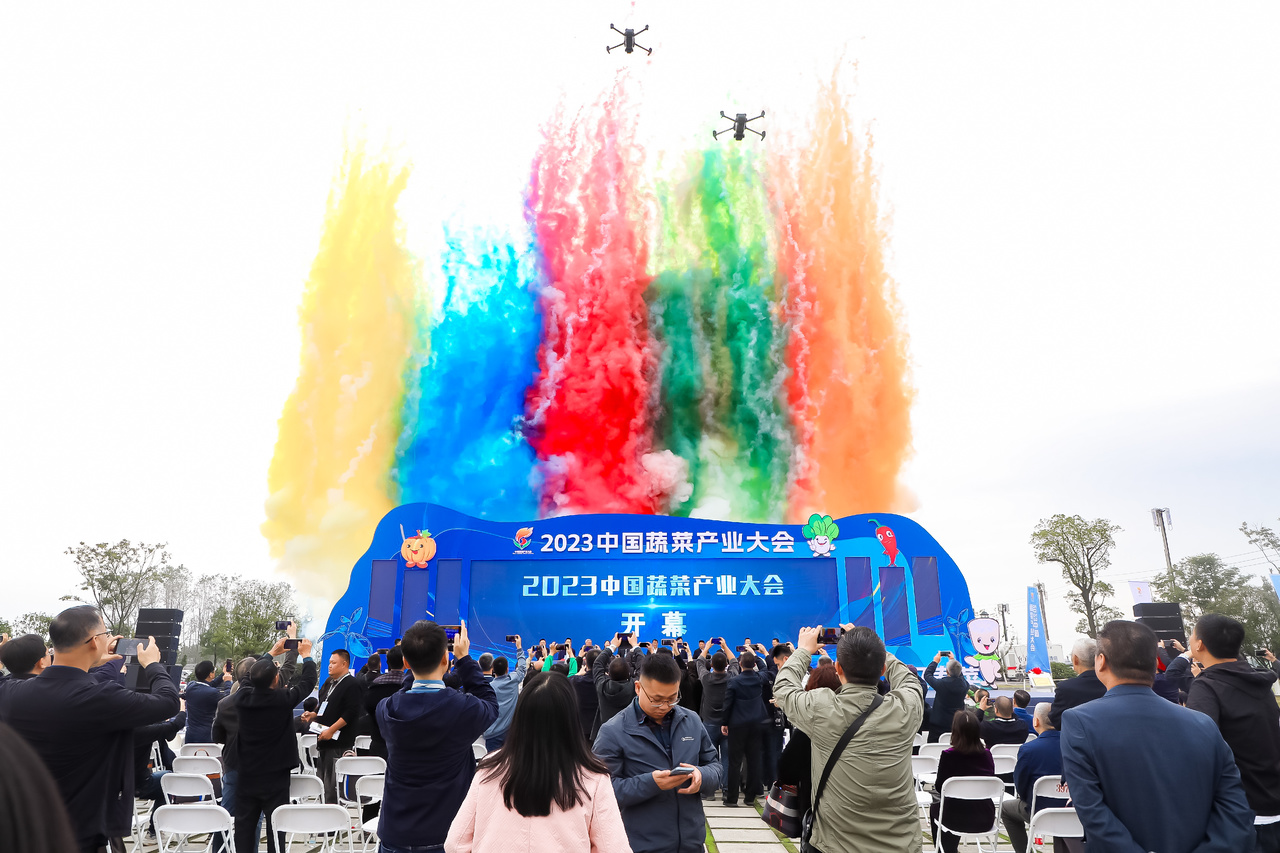 烟花.jpg