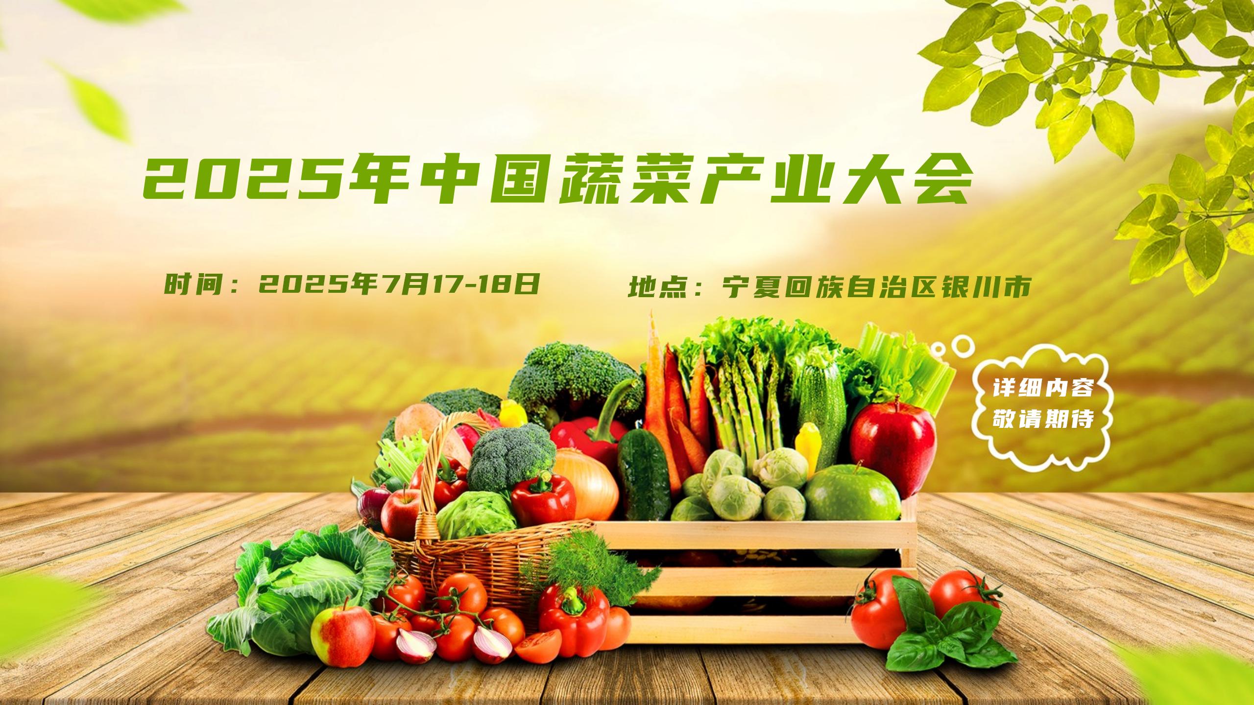 2025年中国丝袜视频
大会.jpg