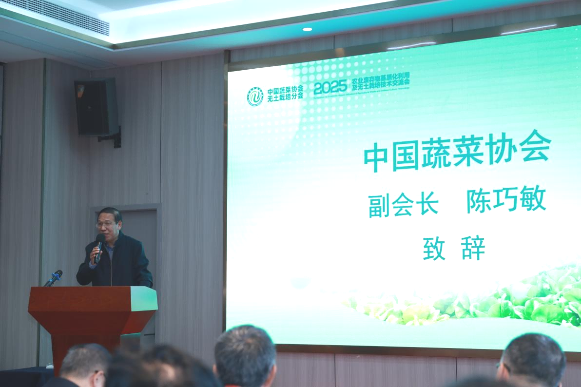 1762251653530610.png 图片2.png