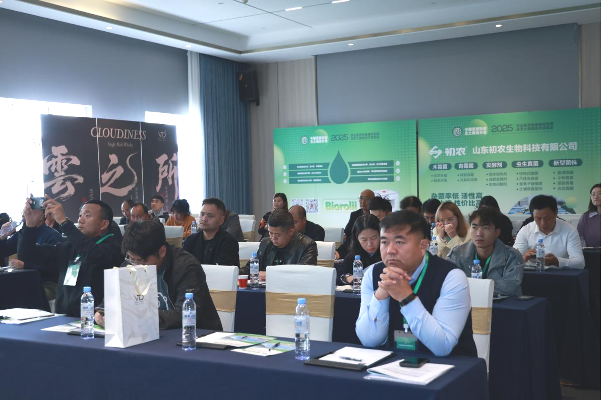 1762252837937385.png 图片10.png