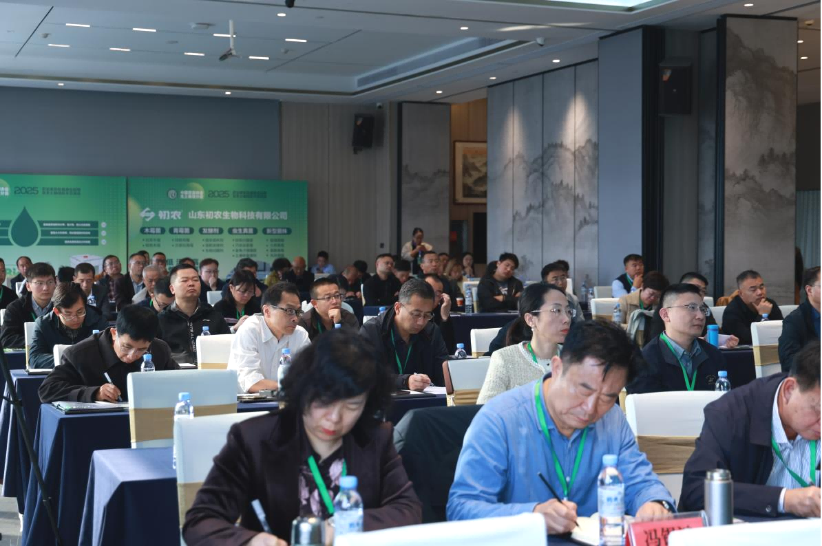 1762252841836208.png 图片11.png